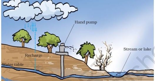 Ncert Solutions For Science Class 7th Chapter 16 Water A Precious Resource